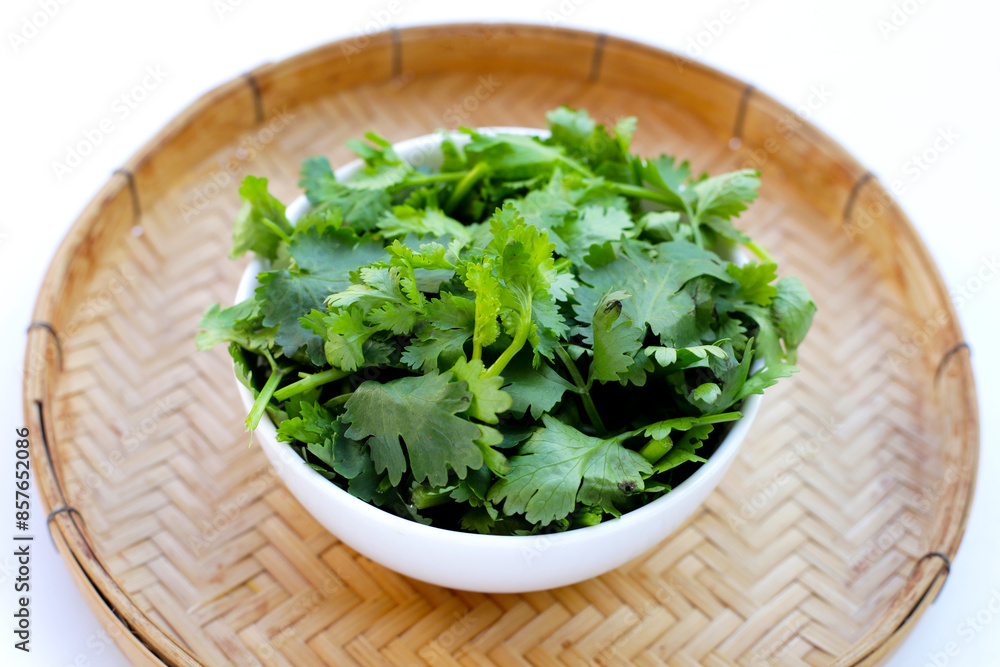 Fresh organic coriander, vegetables and herbs Fresh organic coriander, vegetables and herbs