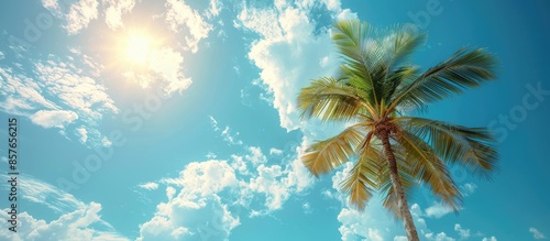 Palm Tree Against a Bright Blue Sky