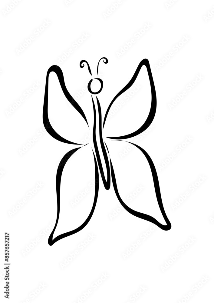 Schmetterling Schmetterling