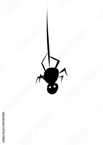 Spinne