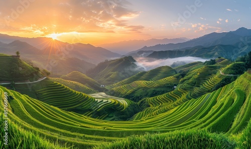 A scenic landscape of terraced rice fields on rolling hills, bathed in golden light during sunset, with mist rising from the valleys