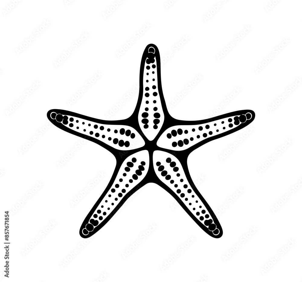 starfish engraving black and white outline, Starfish silhouette vector illustration starfish engraving black and white outline, Starfish silhouette vector illustration