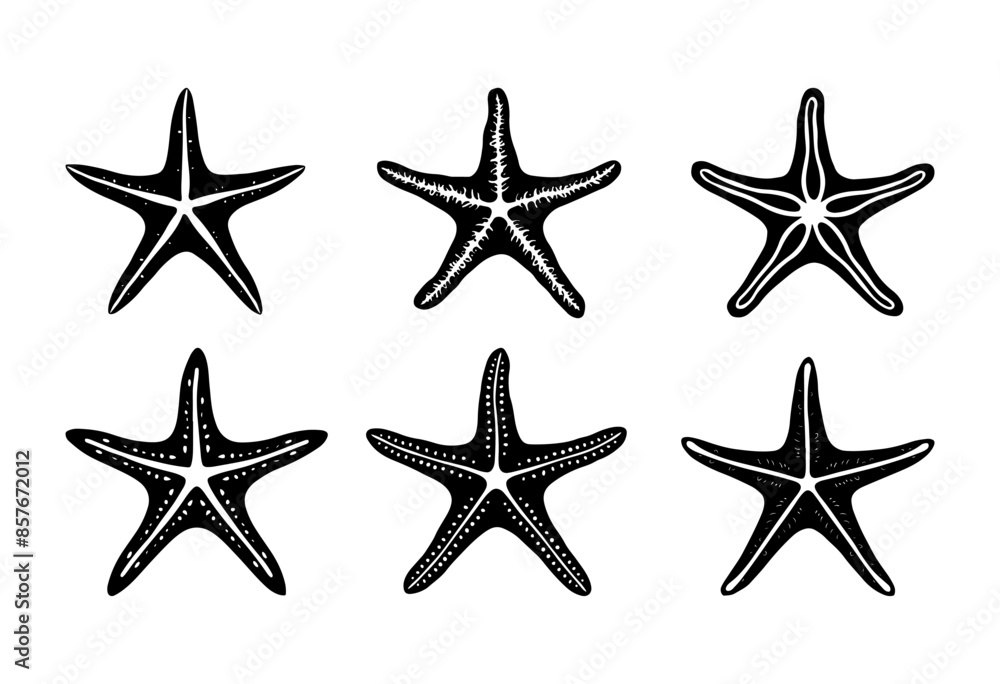 a collection of starfish, starfish engraving black and white outline a collection of starfish, starfish engraving black and white outline
