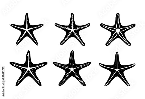a collection of starfish, starfish engraving black and white outline