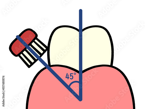 歯の磨き方 バス法のイラスト素材 photo