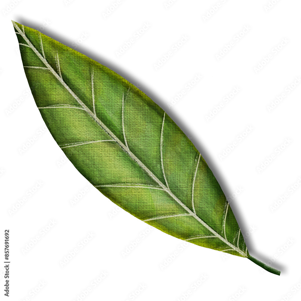 Fototapeta premium Watercolor Tropical green leaf fabric texture 