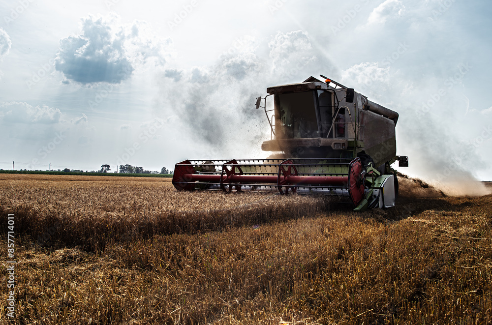 Fototapeta premium Agricultural yellow field machinery landscape background