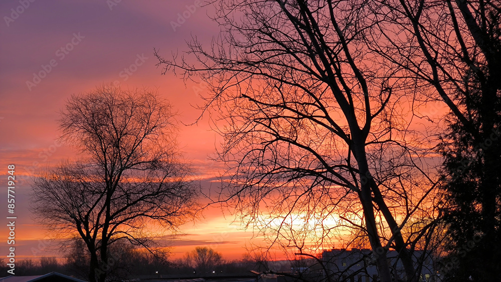 colorful sunset sky in Krakow seen through the tree branches colorful sunset sky in Krakow seen through the tree branches