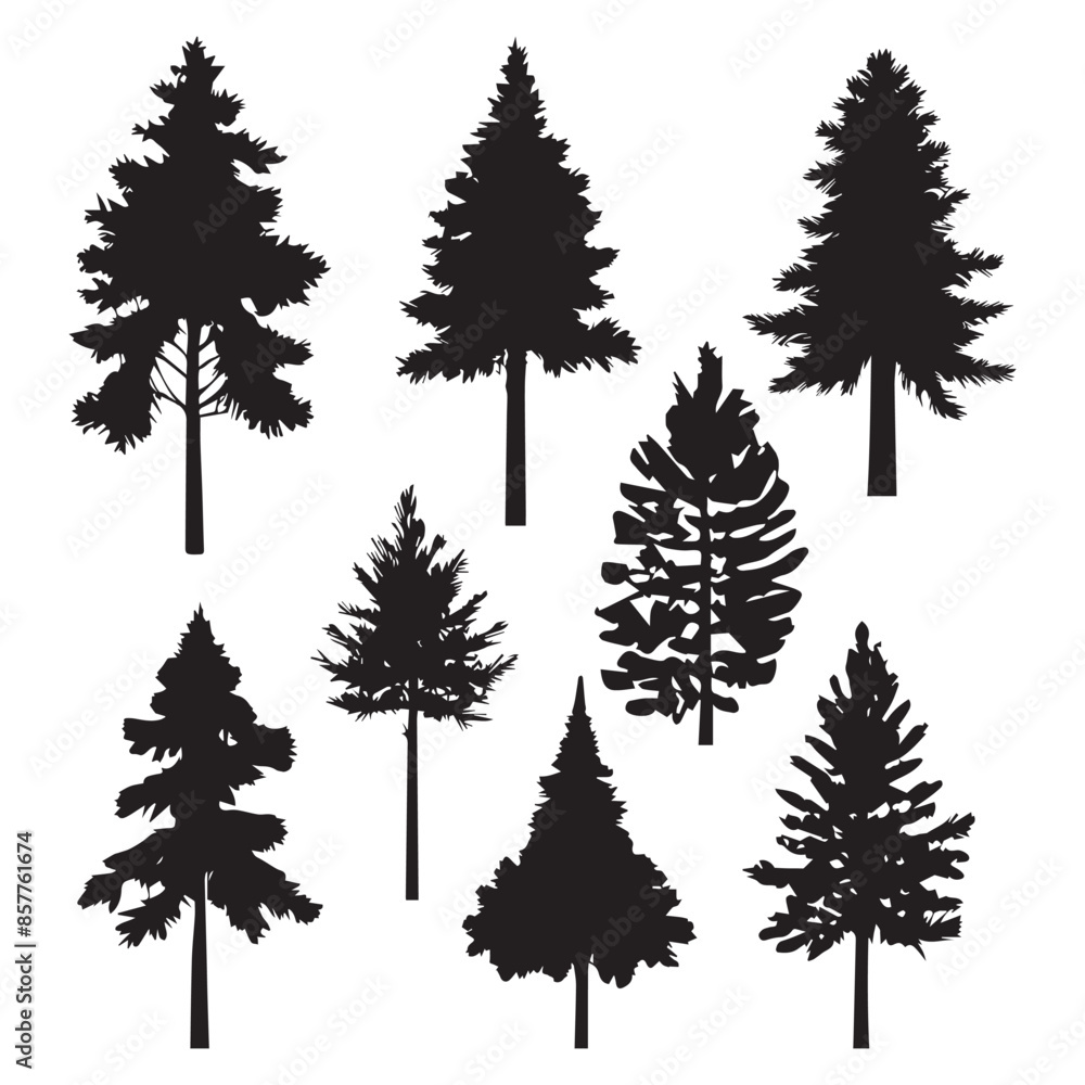 Obraz premium Silhouette pine trees collections.Vector illustration