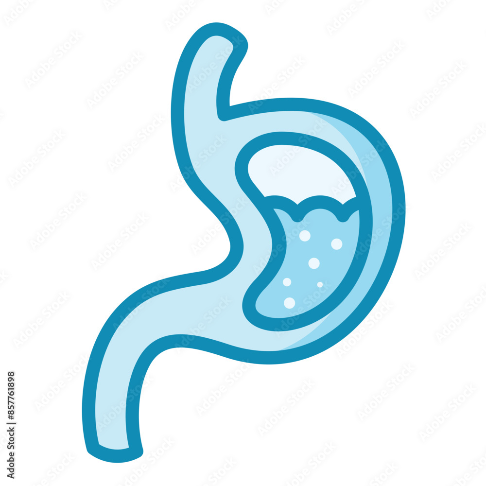Stomach Icon Stomach Icon