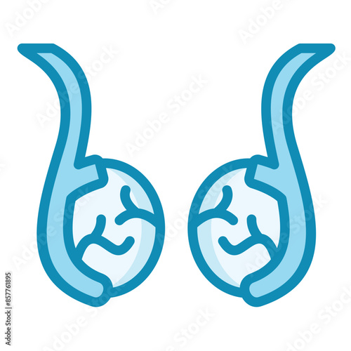 Testis Icon