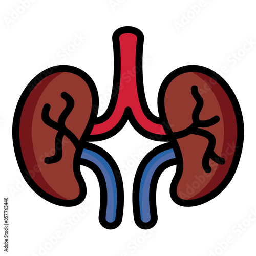 Kidney Icon