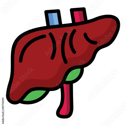Liver Icon