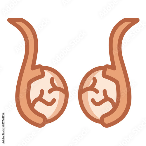 Testis Icon