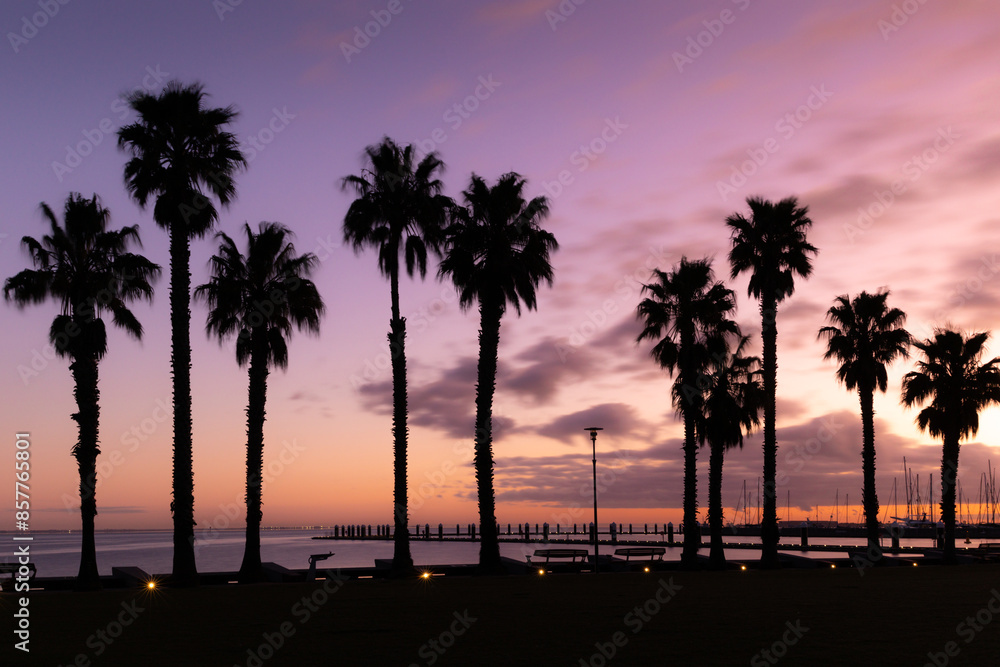 Obraz premium Palm trees silhouetted at purple and pink sunset, Geelong