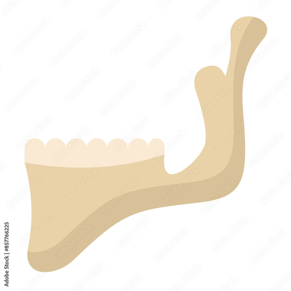Jaw Icon Jaw Icon