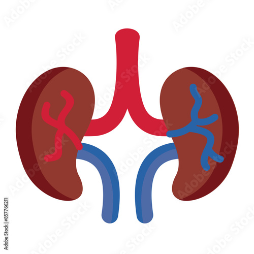Kidney Icon