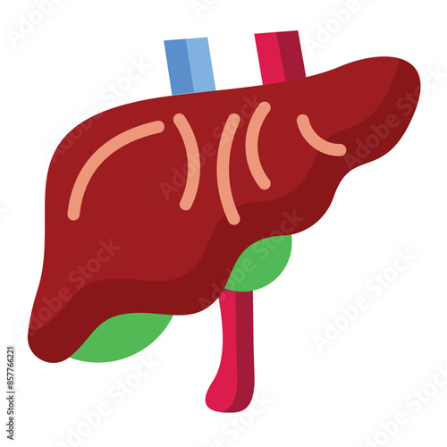 Liver Icon