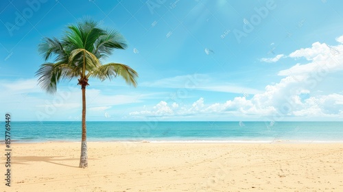 Tropical summer sand beach and palm on sea sky background, copy space