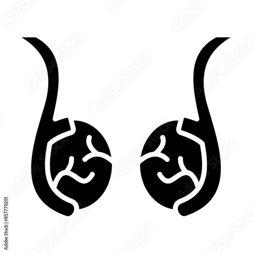 Testis Icon