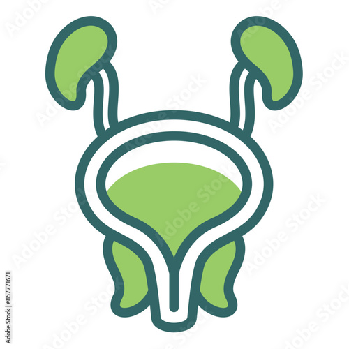 Prostate Icon