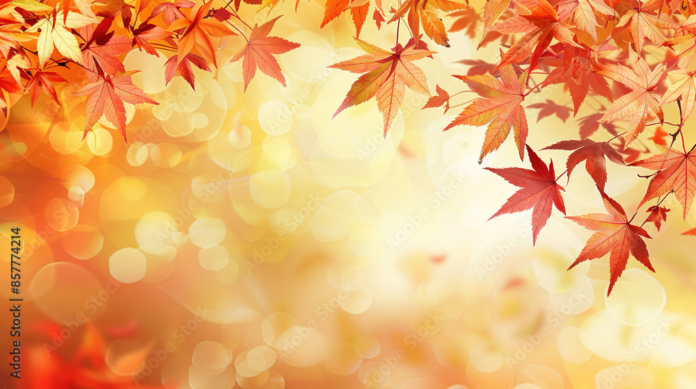 Autumn leaves background Autumn leaves background