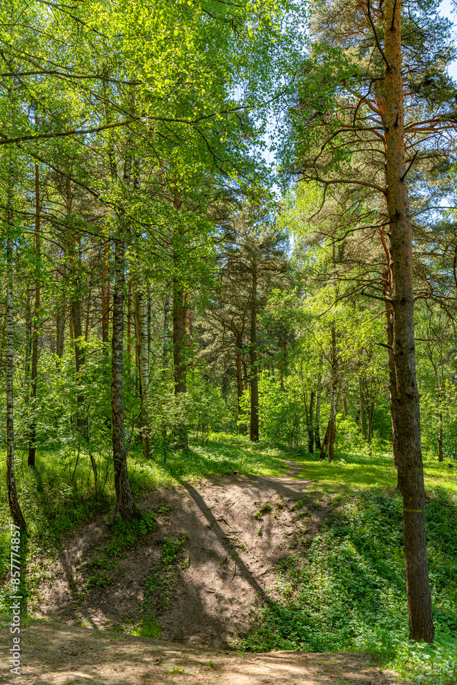 Obraz premium Moscow. City bustle. Nature.