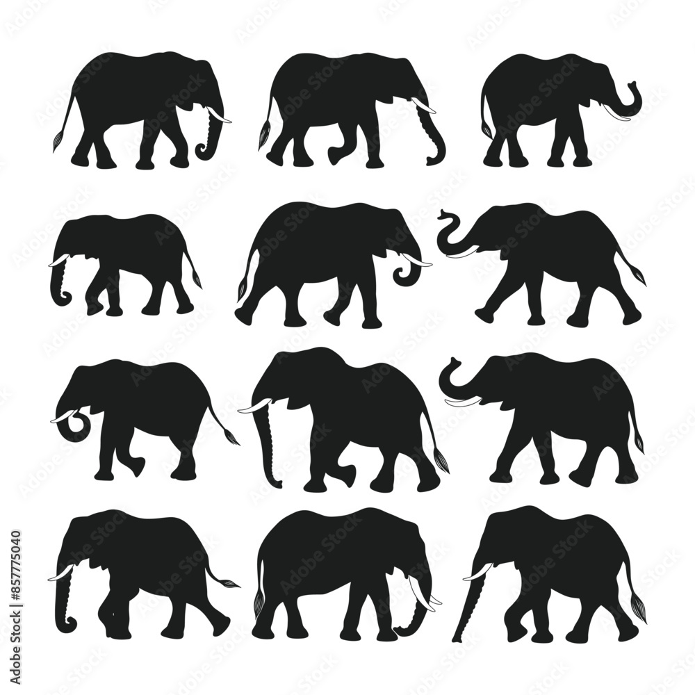 Fototapeta premium A set of elephant silhouette vector