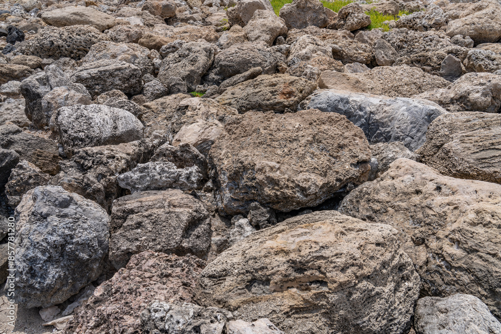 Coral fossils / reef deposits / Limestone at Ko Olina Beach Park, Leeward Coast of Oahu, Honolulu, Hawaii geology. Coral fossils / reef deposits / Limestone at Ko Olina Beach Park, Leeward Coast of Oahu, Honolulu, Hawaii geology.
