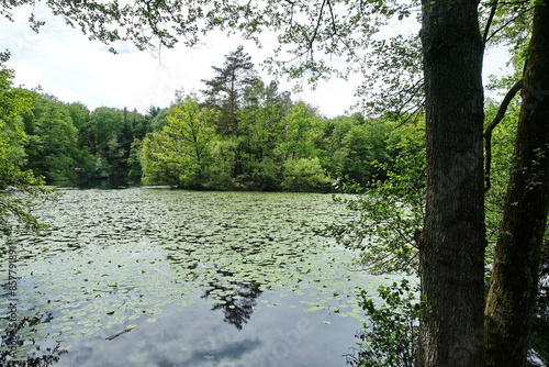 Kesselbruchweiher bei Frankfurt photo