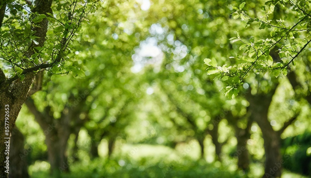 Captivating defocused bokeh of green nature, featuring blurred crown trees in a serene garden setting. Captivating defocused bokeh of green nature, featuring blurred crown trees in a serene garden setting.