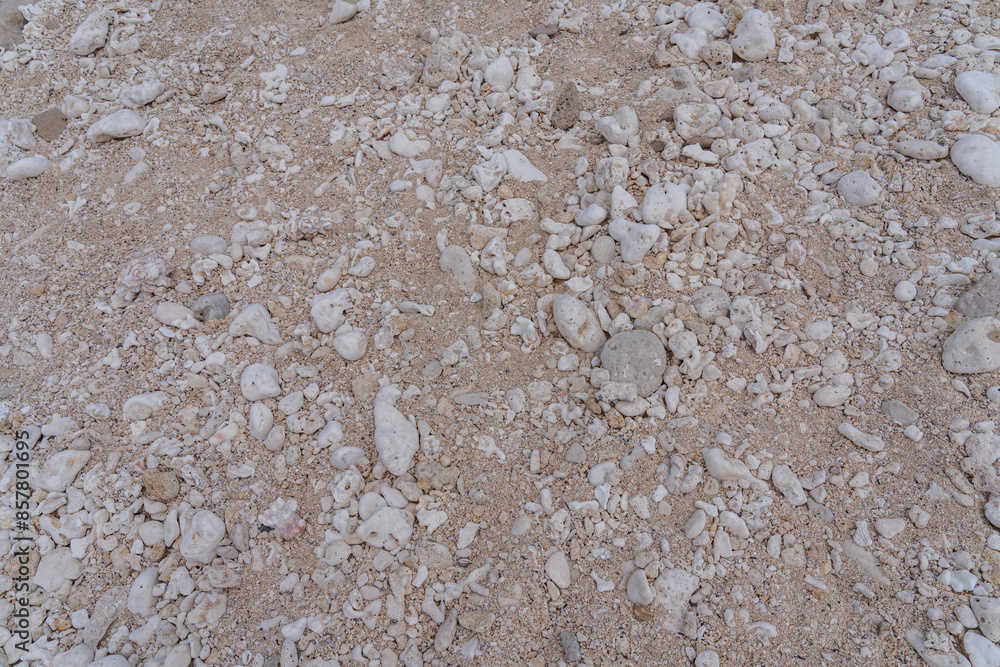 Obraz premium Coral fossils / reef deposits / Limestone at Ko Olina Beach Park, Leeward Coast of Oahu, Honolulu, Hawaii geology.