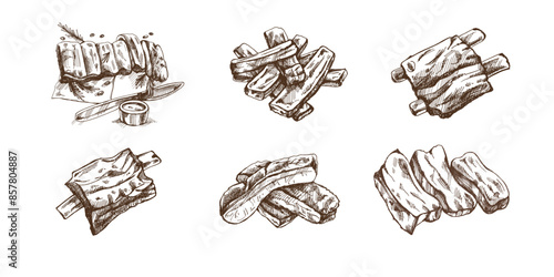 Hand-drawn monochrome vector sketch set of barbecue ribs. Doodle vintage illustration. Decorations for the menu of cafes and labels. Engraved image.