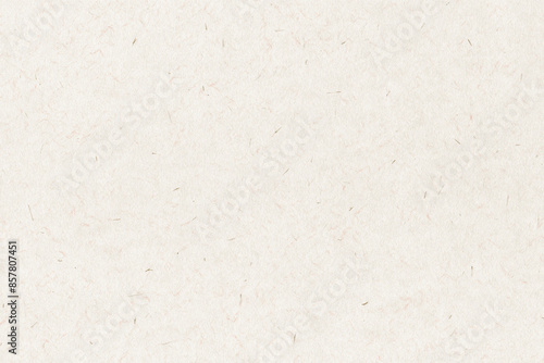 繊維模様が美しい日本伝統の和紙素材　ベージュ