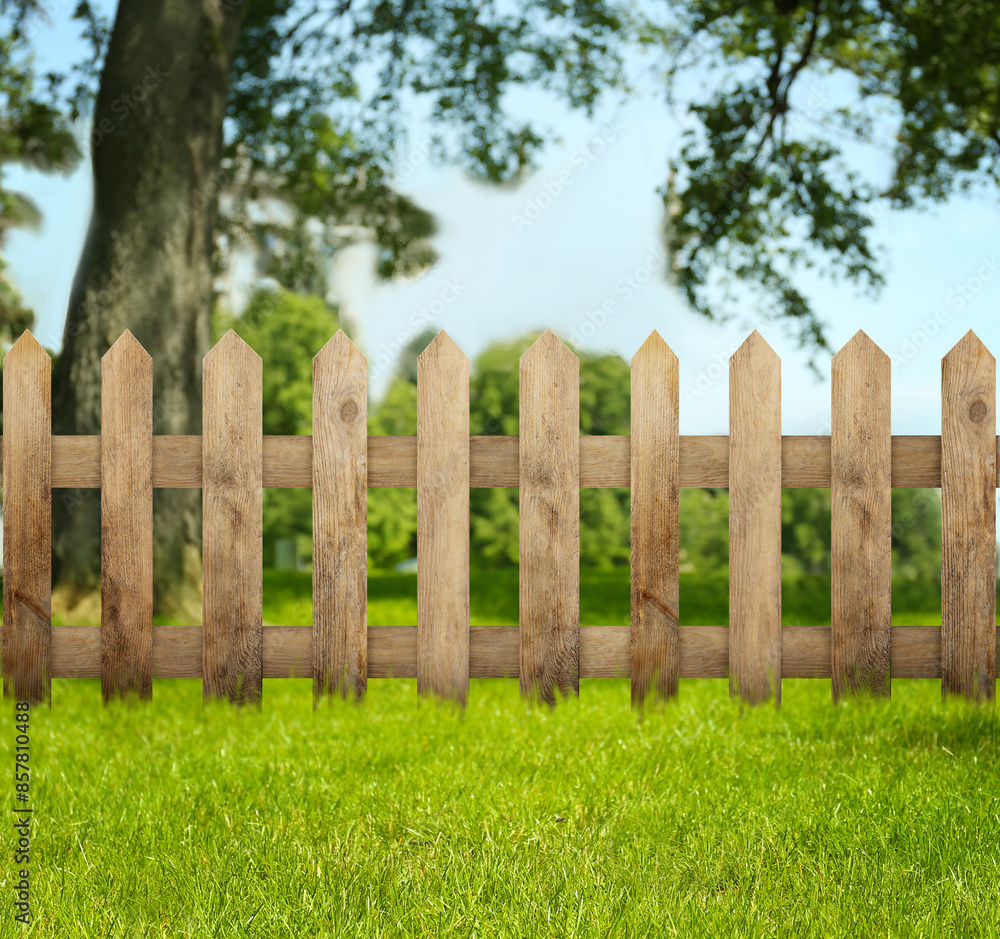 Wooden fence, tree and green grass outdoors Wooden fence, tree and green grass outdoors