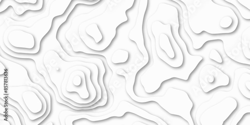 Abstract background with waves. Abstract Papercut and multi layer cutout geometric patten on vector, Abstract soft white background with waves.