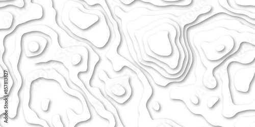 Abstract background with waves. Abstract Papercut and multi layer cutout geometric patten on vector, Abstract soft white background with waves.