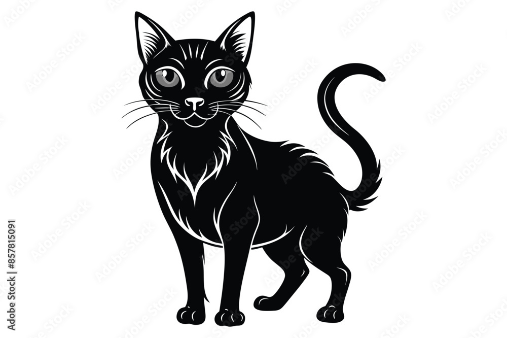Black and White Cat Vector Silhouette. Black and White Cat Vector Silhouette.