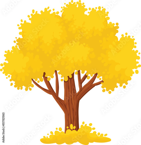 Colorful autumn tree. Cartoon yellow orange fall tree and autumnal garden icon with fall season gold leaves for city park and forest landscape background vector isolated symbol
