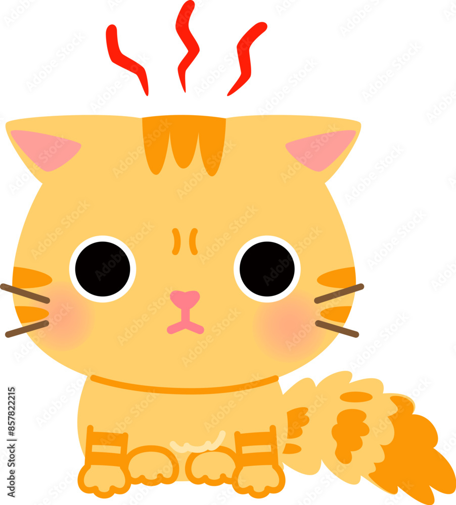 警戒した様子でしゃがんでいるトラ猫 警戒した様子でしゃがんでいるトラ猫