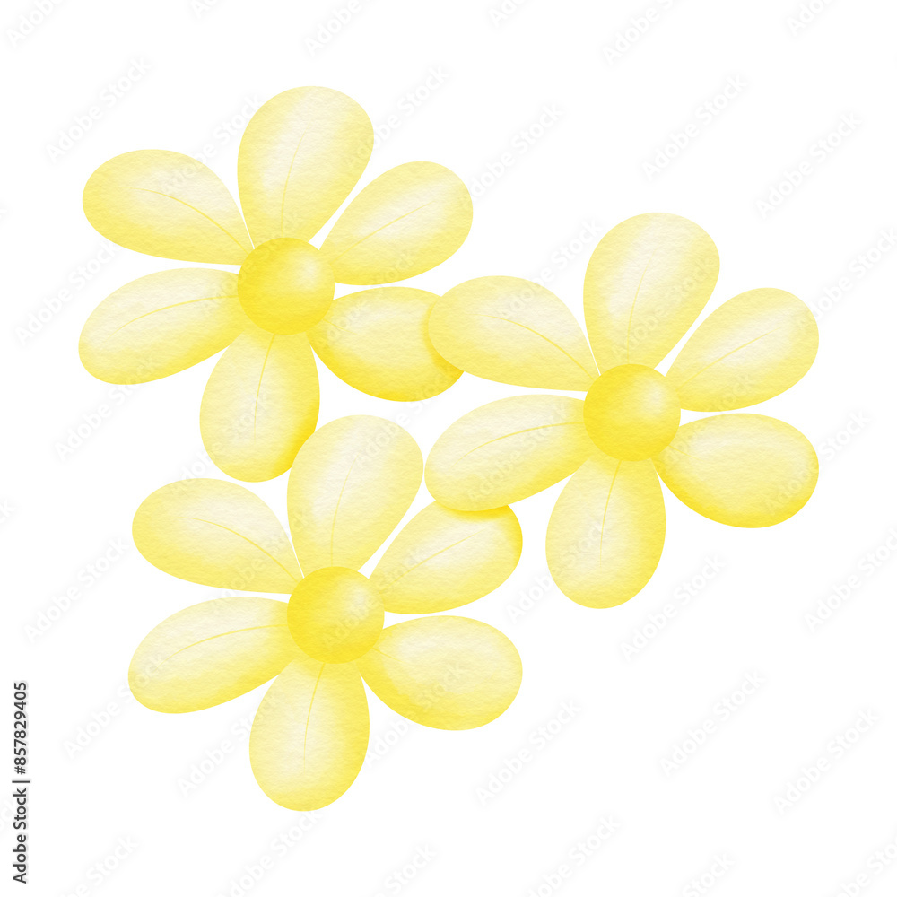 flowers flowers