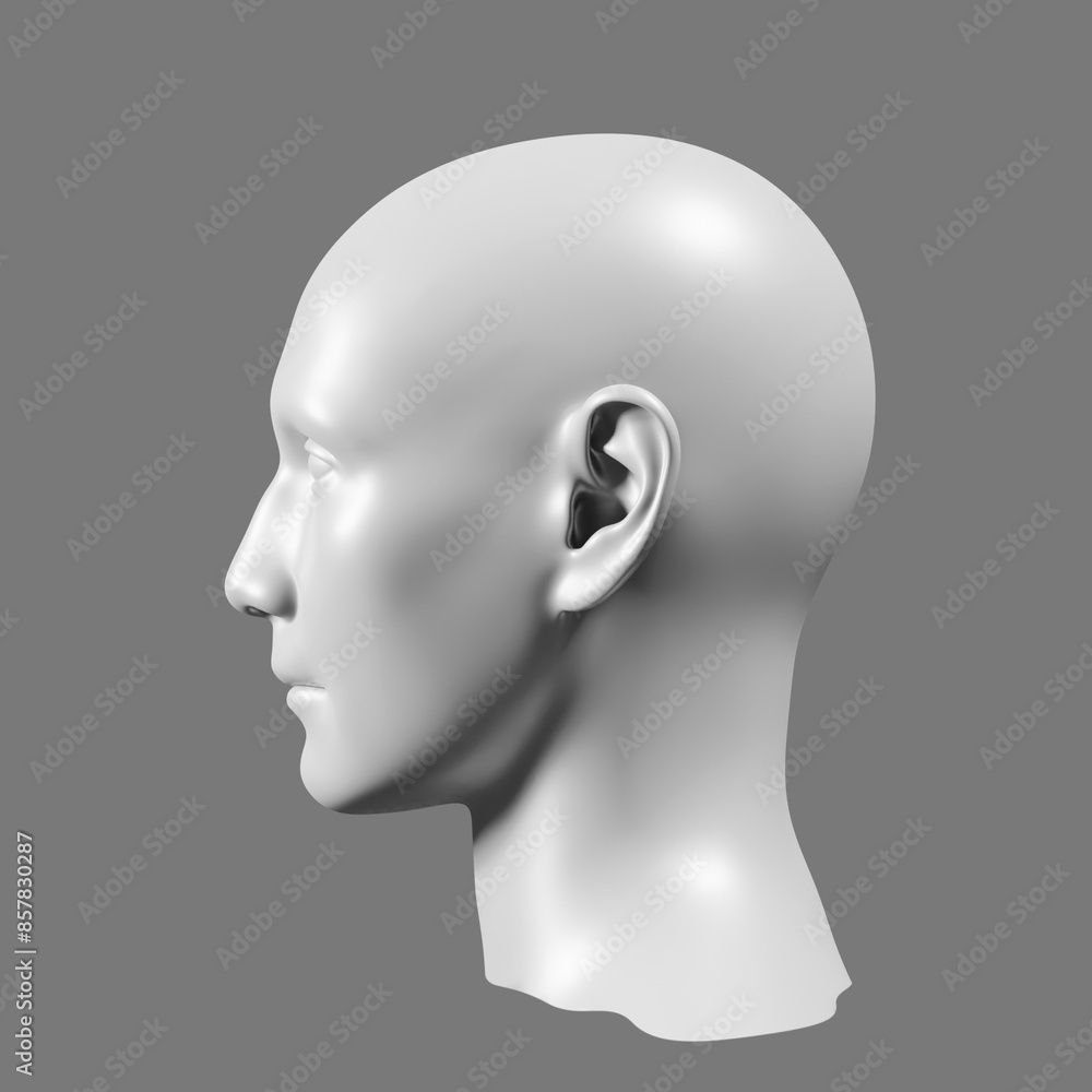 Side view of head, black and white, 3d trendy collage in magazine style. Modern contemporary art, clipping path, 3D render Side view of head, black and white, 3d trendy collage in magazine style. Modern contemporary art, clipping path, 3D render