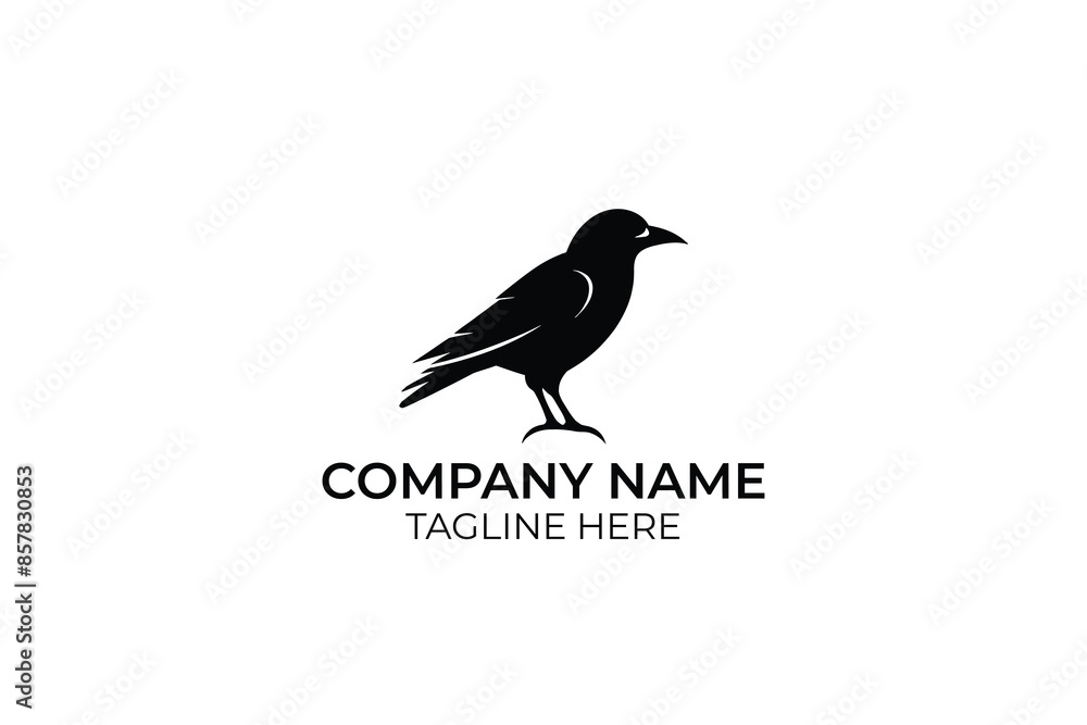 Obraz premium silhouette of a crow