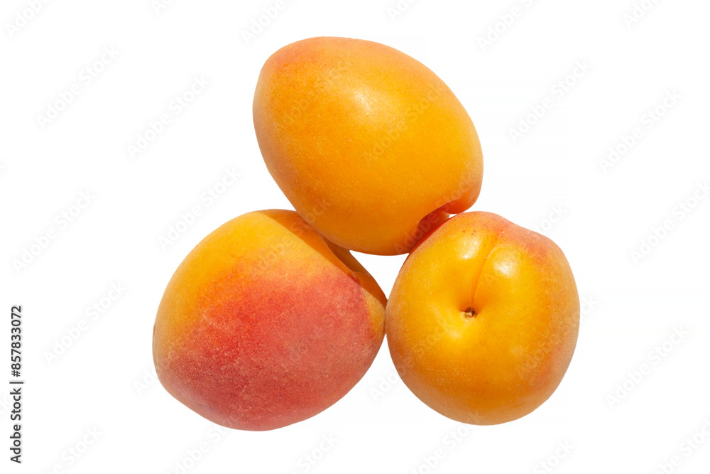 three ripe apricots isolated on white three ripe apricots isolated on white