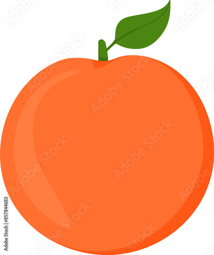 Φωτογραφία orange fruit