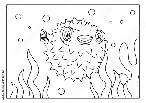 puffer fish sketch for coloring book vector