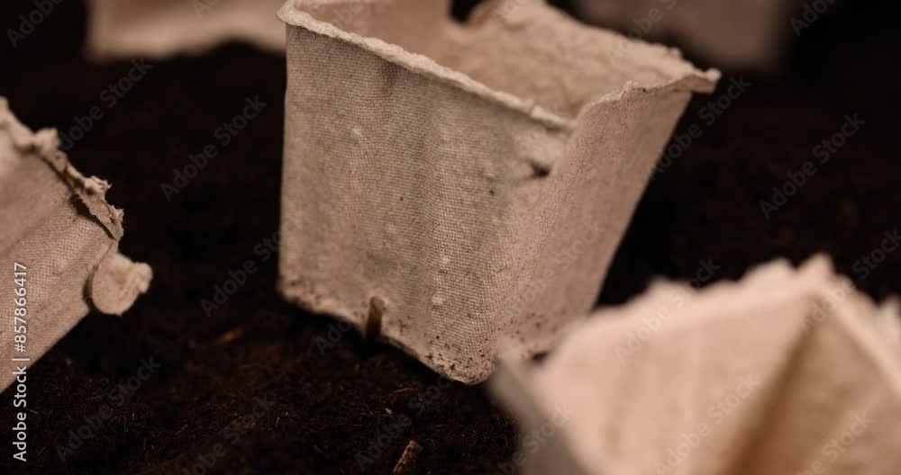 peat paper cups for growing seedlings, square containers for seedlings in agriculture peat paper cups for growing seedlings, square containers for seedlings in agriculture