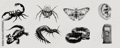 Futuristic retro halftone object set, surrealism contemporary vector sticker design