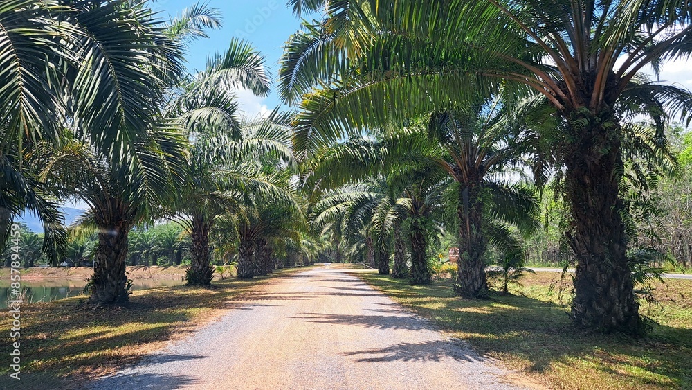 Obraz premium RemasterDirector_22abe5b5f