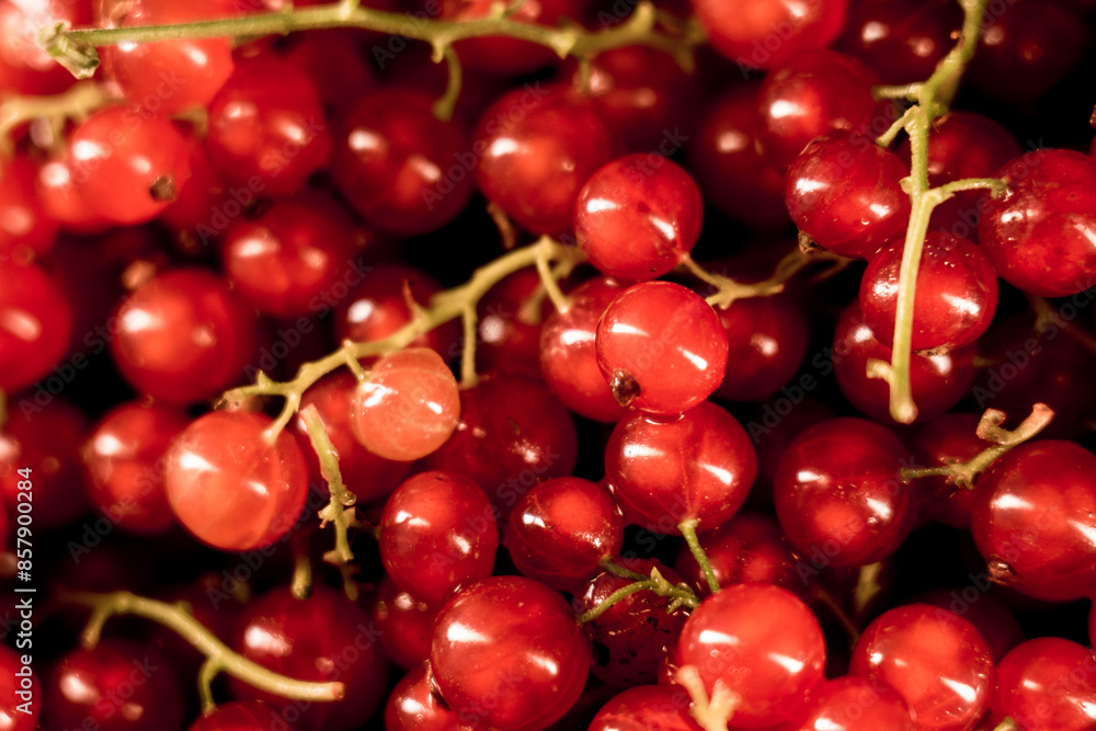 Red currants in a plate on a black background.red currant isolate.Berry concept Red currants in a plate on a black background.red currant isolate.Berry concept